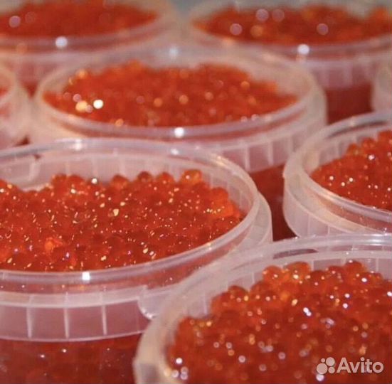 Красная икра горбуши