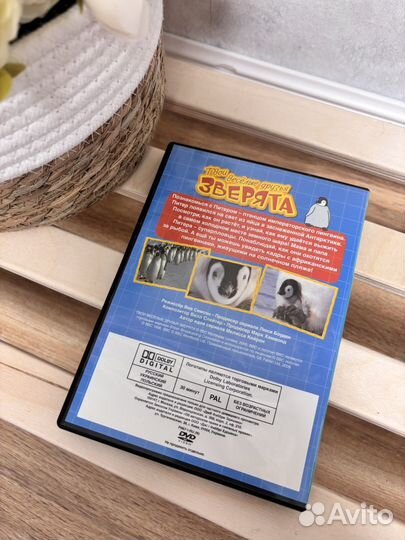 Твои веселые друзья зверята диск