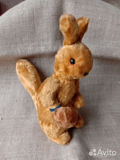 Белка с орешком