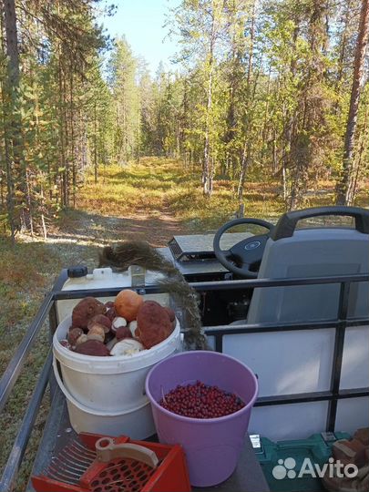 Вездеход каракат