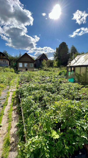 Дача 29 м² на участке 7,5 сот.