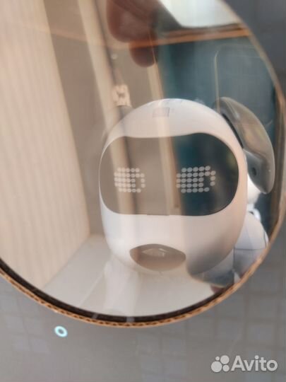 Собака робот