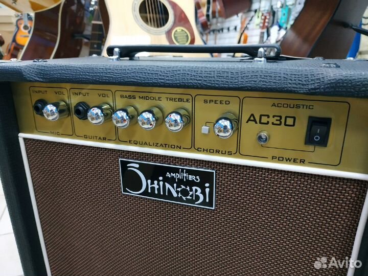 Акустический гитарный комбоусилитель