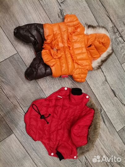 Одежда для маленькой собаки