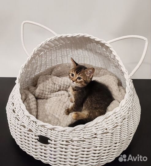 Лежанка для собак и кошек