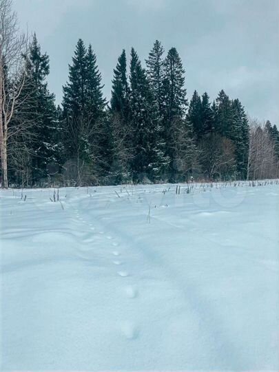 Участок 7 сот. (ИЖС)