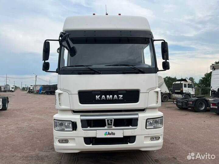 КамАЗ 5490 NEO 2, 2020