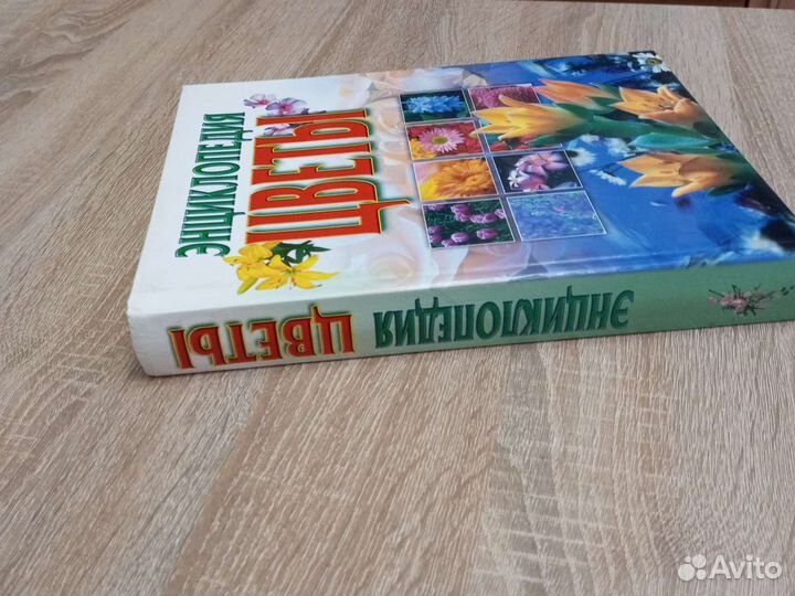 Энциклопедия Цветы