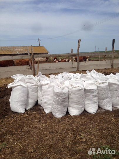 Перегной с доставкой