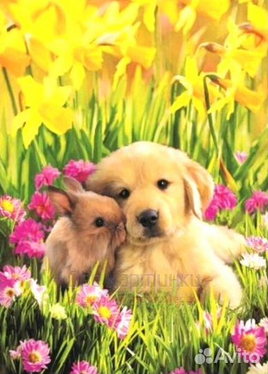 Алмазная мозаика 30x40 Щенок с кроликом среди цвет