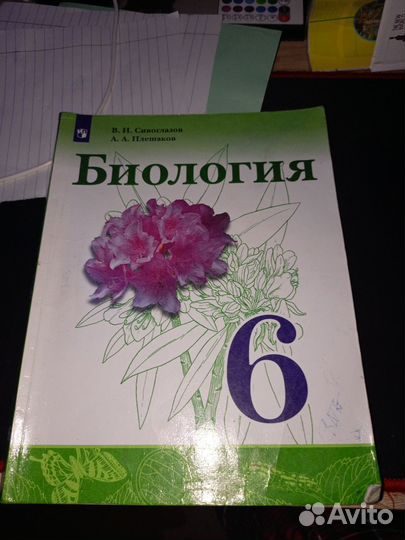Биология 6 класс