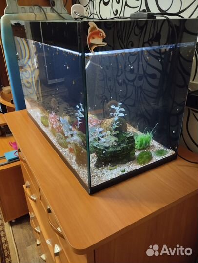 Аквариум