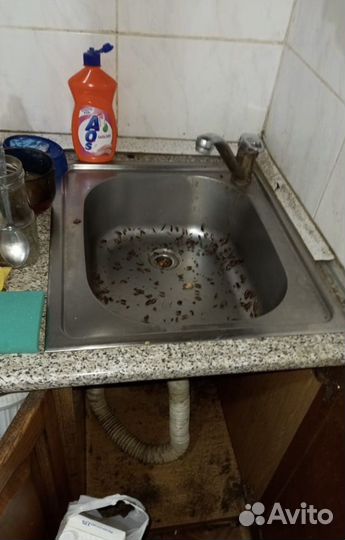 Уничтожение тараканов клопов клещей мышей