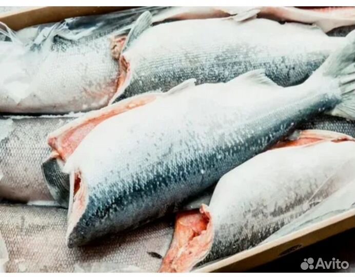 Нерка свежемороженная