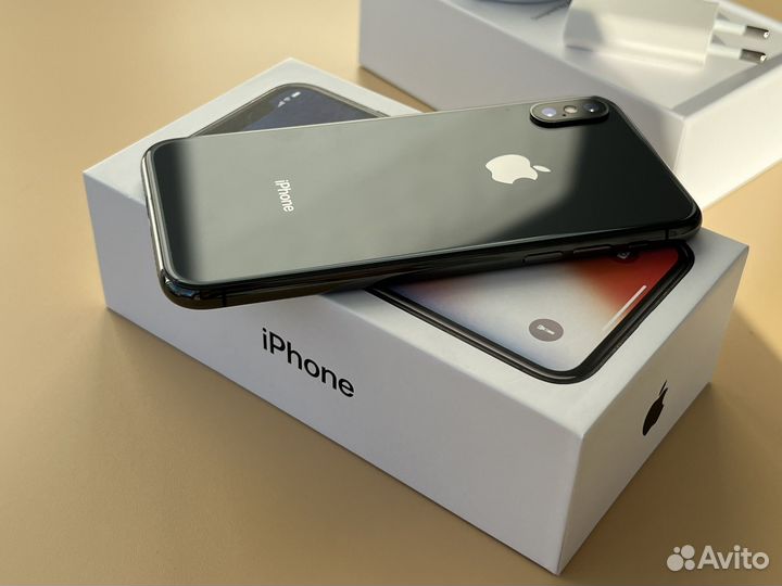 iPhone X, 256 ГБ