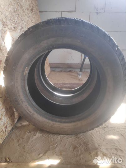 Sava Eskimo Ice 195/65 R15