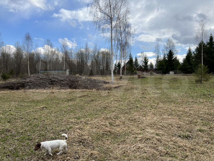 Участок 25 сот. (СНТ, ДНП)