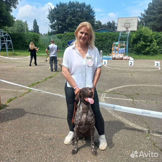 Зоопсихолог. Кинолог. Фелинолог