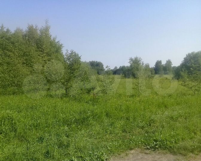 Участок 22 га (СНТ, ДНП)