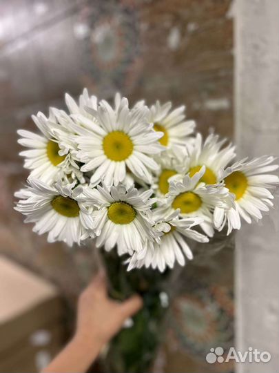 Цветы оптом