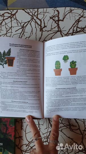 Книга Комнатные растения