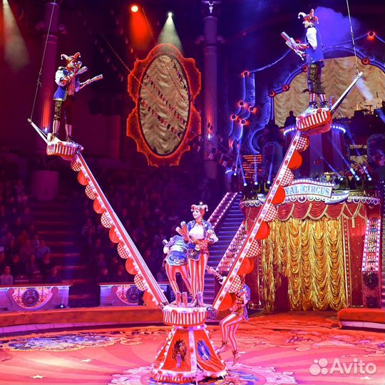 Билеты в Цирк Никулина на Цветном бульваре