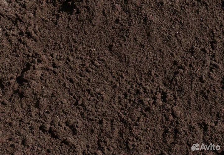 Торфогрунт