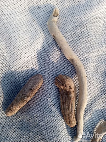 Декоративные коряги