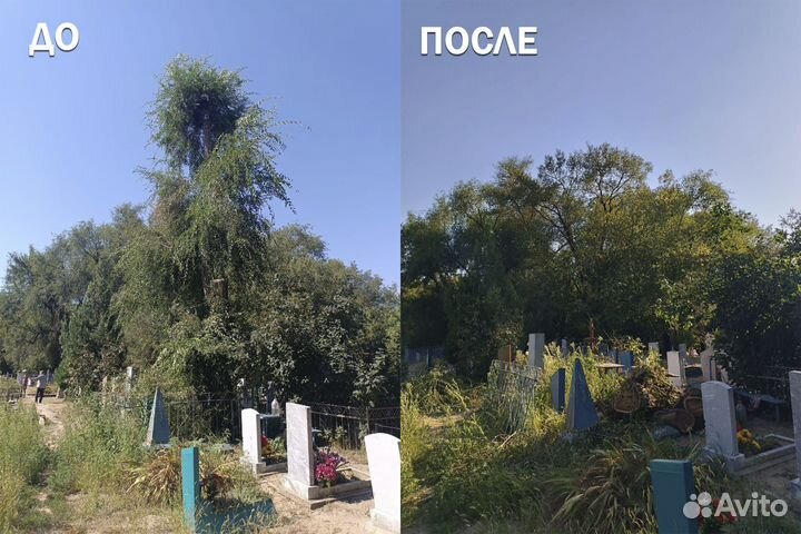 Спил деревьев, Покос травы