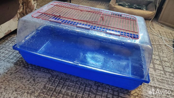 Клетка для грызунов бу