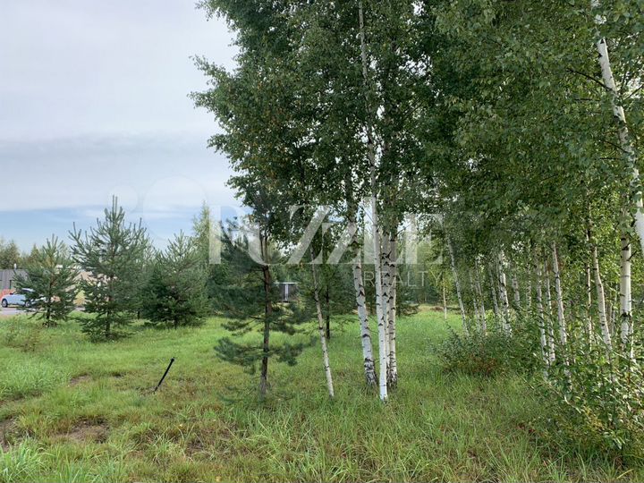 Участок 9,3 сот. (СНТ, ДНП)