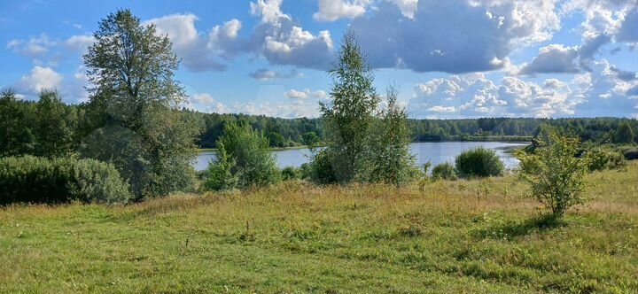 Участок 12 сот. (ИЖС)