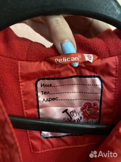 Куртка Pelican