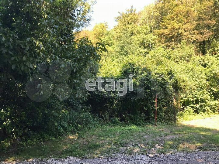 Участок 8 сот. (СНТ, ДНП)