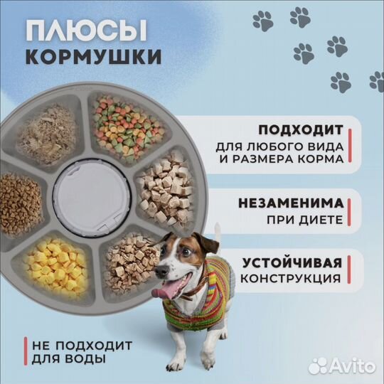 Автоматическая кормушка для кошек и собак