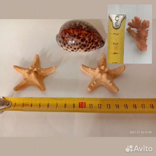 Шкатулки Свечи Подсвечники Ракушки