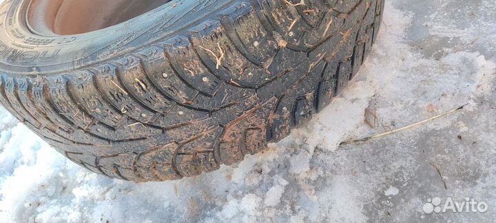 Nokian Tyres Hakkapeliitta 5 205/55 R16