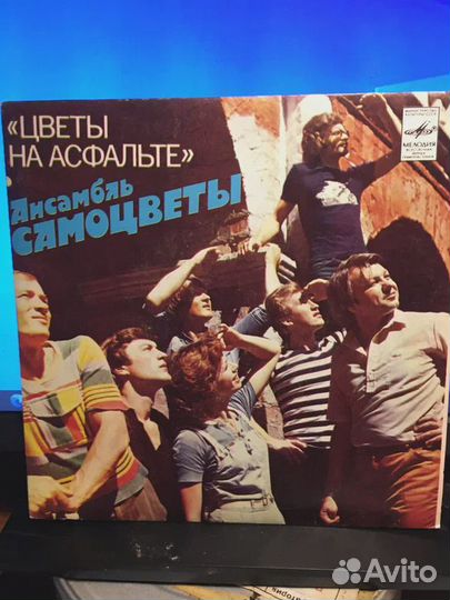 Самоцветы – Цветы На Асфальте