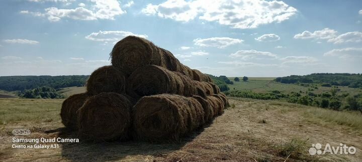 Сено в рулонах 2022