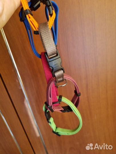 Ошейники для щенков