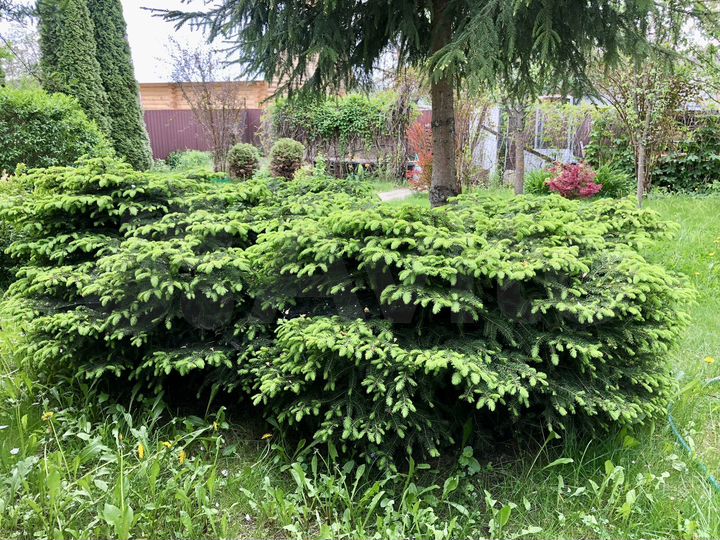 Дача 56 м² на участке 5 сот.