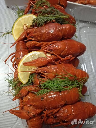 Раки вареные, Башкирские