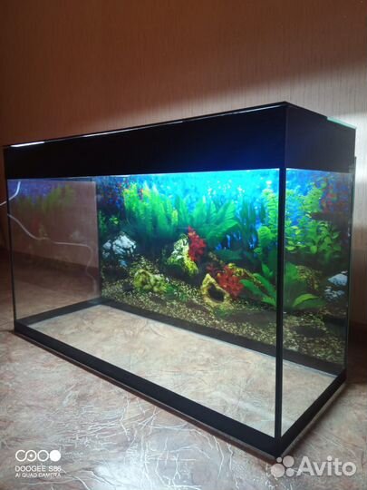 Аквариум с фильтром и светом