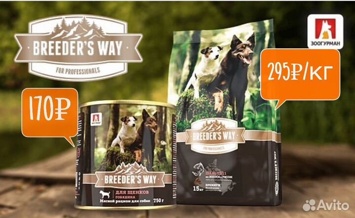 Сухой корм для собак