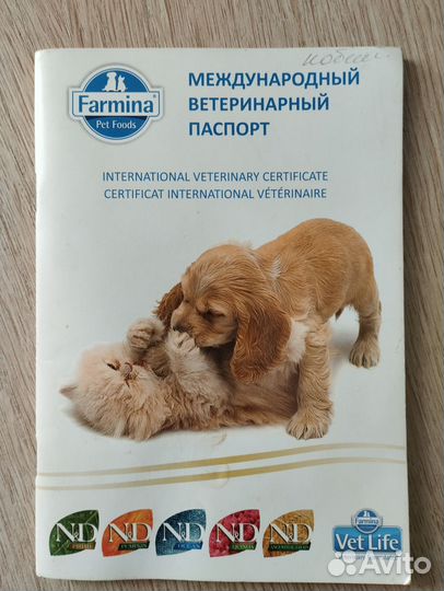 Вязка цвергпинчер