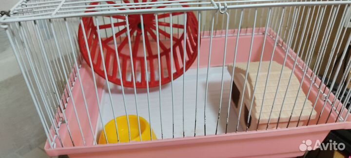 Клетка, домик, миска для хомяка