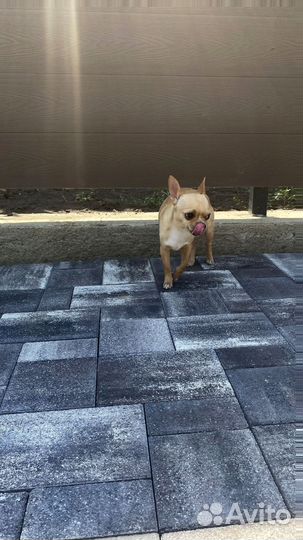 Брусчатка с доставкой