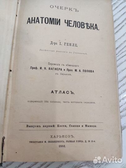 Антикварные книги Атлас по анатомии Генле 1881