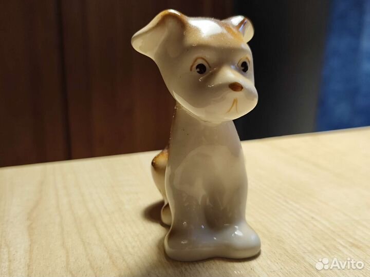 Коллекция собак