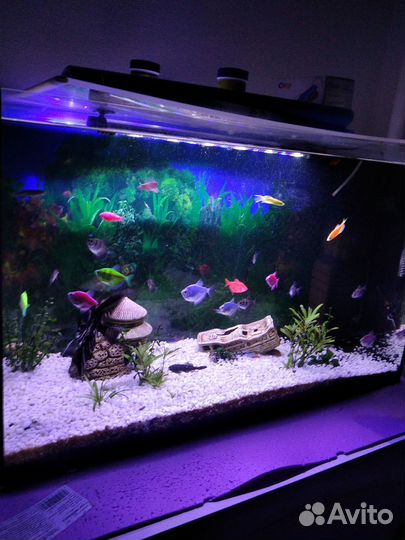 Аквариум